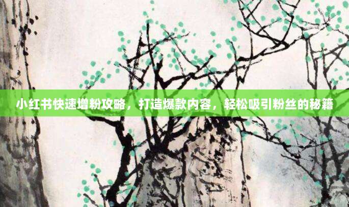 小红书快速增粉攻略,打造爆款内容,轻松吸引粉丝的秘籍