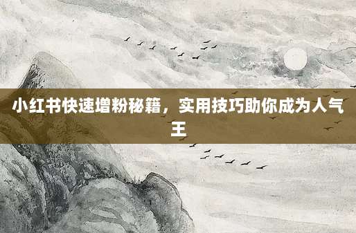 小红书快速增粉秘籍,实用技巧助你成为人气王