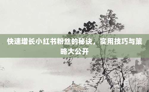 快速增长小红书粉丝的秘诀,实用技巧与策略大公开