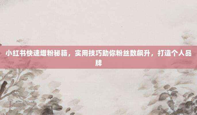 小红书快速增粉秘籍,实用技巧助你粉丝数飙升,打造个人品牌