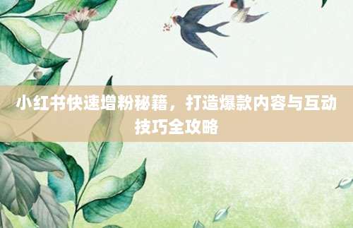 小红书快速增粉秘籍，打造爆款内容与互动技巧全攻略