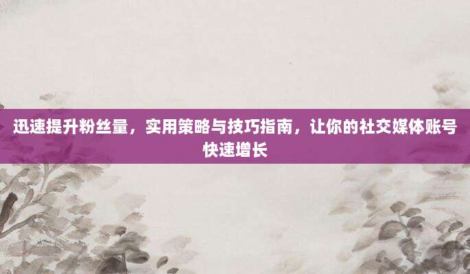 迅速提升粉丝量,实用策略与技巧指南,让你的社交媒体账号快速增长
