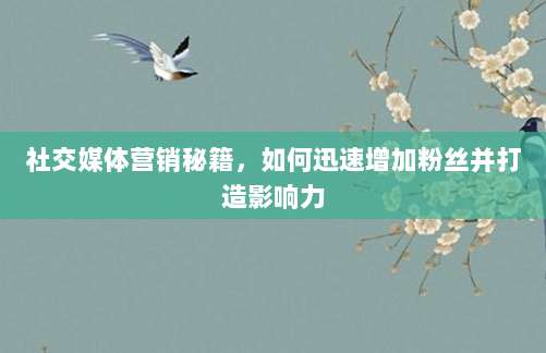社交媒体营销秘籍,如何迅速增加粉丝并打造影响力