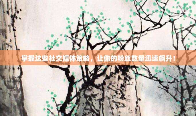 掌握这些社交媒体策略,让你的粉丝数量迅速飙升!