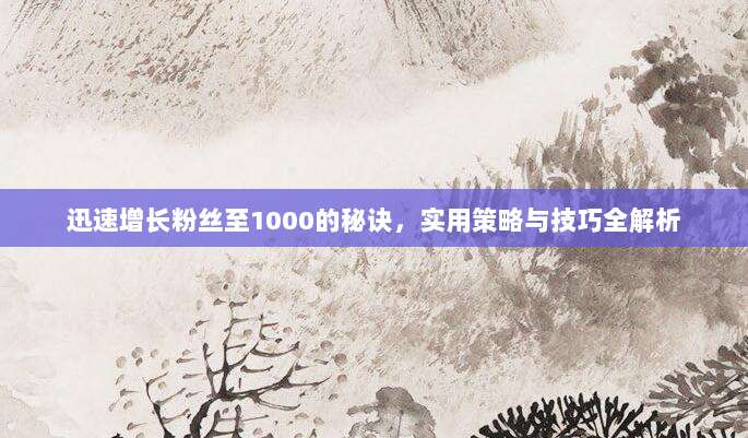迅速增长粉丝至1000的秘诀,实用策略与技巧全解析
