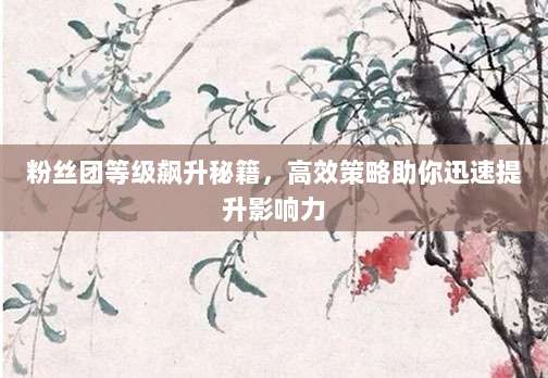 粉丝团等级飙升秘籍,高效策略助你迅速提升影响力