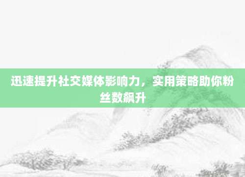 迅速提升社交媒体影响力,实用策略助你粉丝数飙升