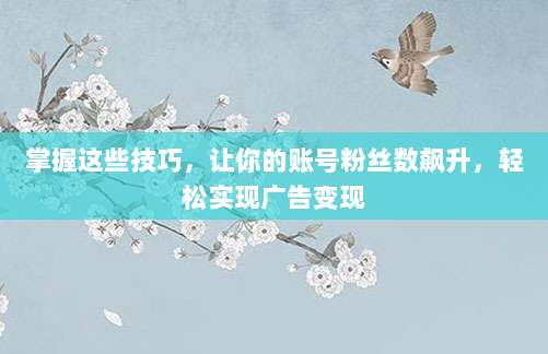 掌握这些技巧,让你的账号粉丝数飙升,轻松实现广告变现