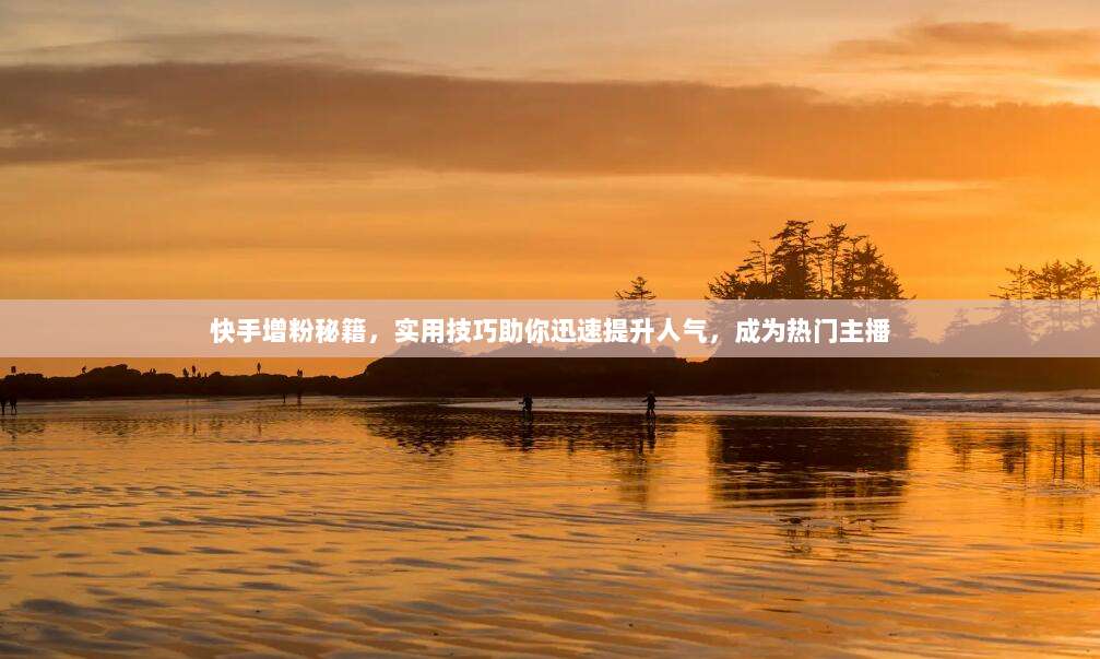 快手增粉秘籍,实用技巧助你迅速提升人气,成为热门主播