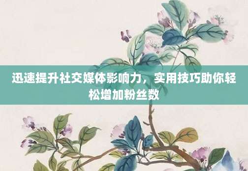 迅速提升社交媒体影响力,实用技巧助你轻松增加粉丝数