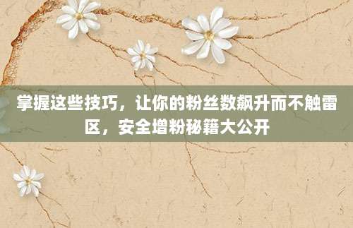 掌握这些技巧,让你的粉丝数飙升而不触雷区,安全增粉秘籍大公开