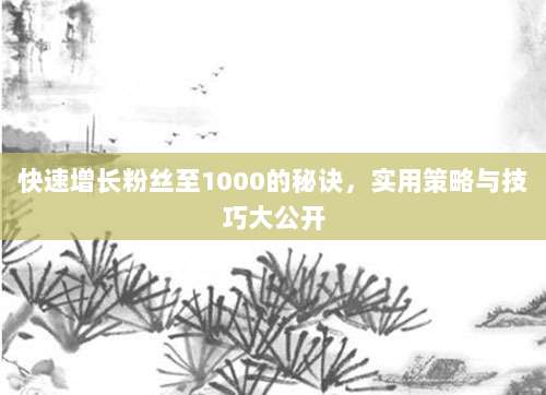 快速增长粉丝至1000的秘诀，实用策略与技巧大公开