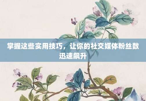 掌握这些实用技巧,让你的社交媒体粉丝数迅速飙升