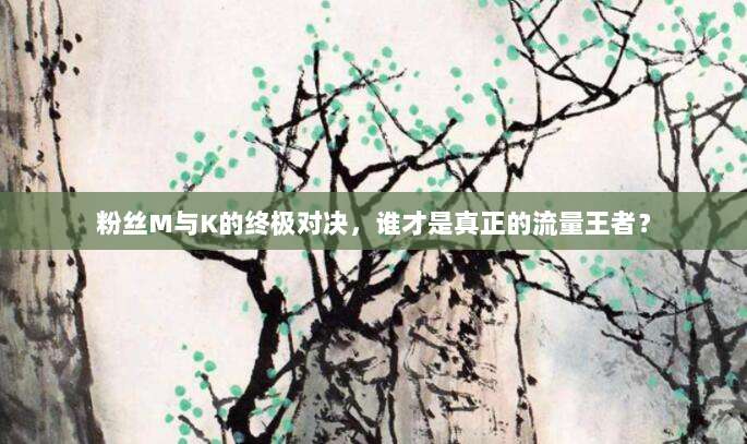 粉丝M与K的终极对决,谁才是真正的流量王者?
