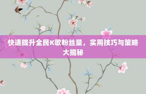 快速提升全民K歌粉丝量，实用技巧与策略大揭秘