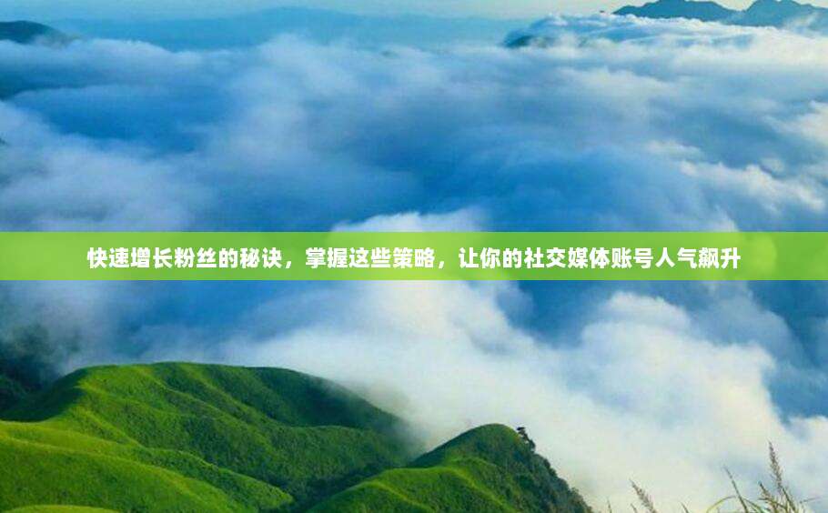 快速增长粉丝的秘诀,掌握这些策略,让你的社交媒体账号人气飙升