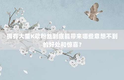 拥有大量K歌粉丝到底能带来哪些意想不到的好处和惊喜?