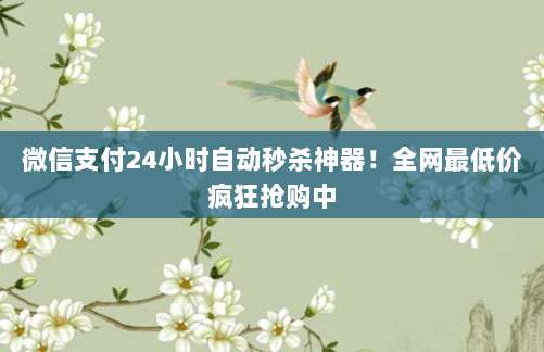 微信支付24小时自动秒杀神器！全网最低价疯狂抢购中