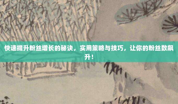 快速提升粉丝增长的秘诀,实用策略与技巧,让你的粉丝数飙升!