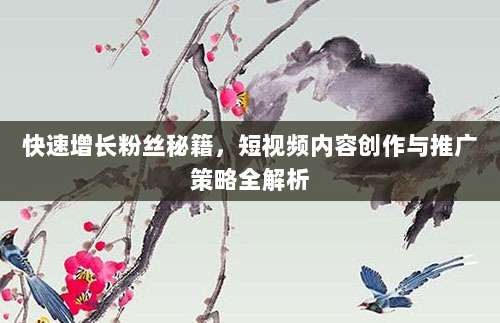快速增长粉丝秘籍,短视频内容创作与推广策略全解析
