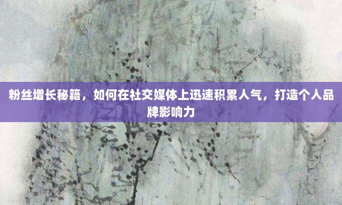 粉丝增长秘籍,如何在社交媒体上迅速积累人气,打造个人品牌影响力
