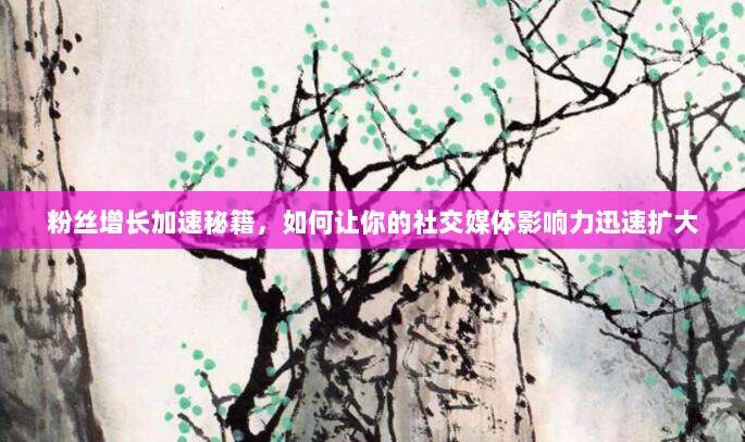 粉丝增长加速秘籍,如何让你的社交媒体影响力迅速扩大