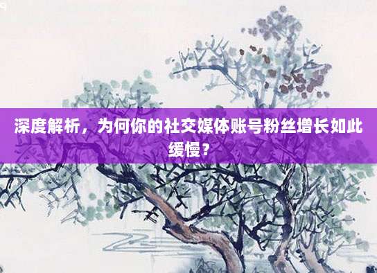 深度解析,为何你的社交媒体账号粉丝增长如此缓慢?
