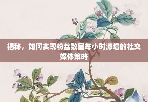 揭秘,如何实现粉丝数量每小时激增的社交媒体策略