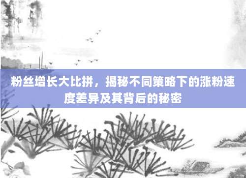 粉丝增长大比拼,揭秘不同策略下的涨粉速度差异及其背后的秘密