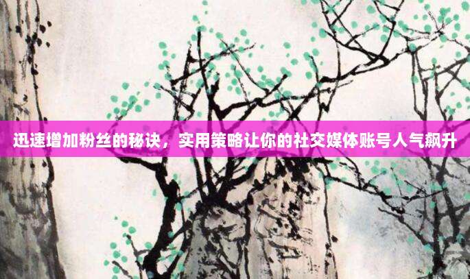 迅速增加粉丝的秘诀,实用策略让你的社交媒体账号人气飙升