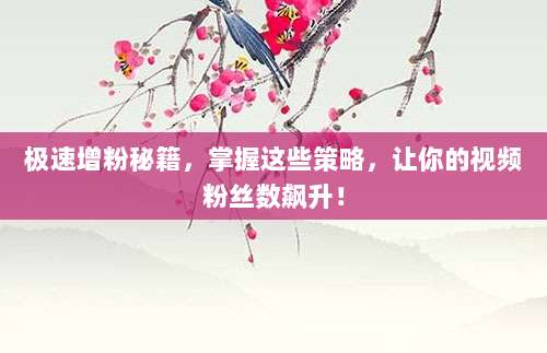 极速增粉秘籍,掌握这些策略,让你的视频粉丝数飙升!