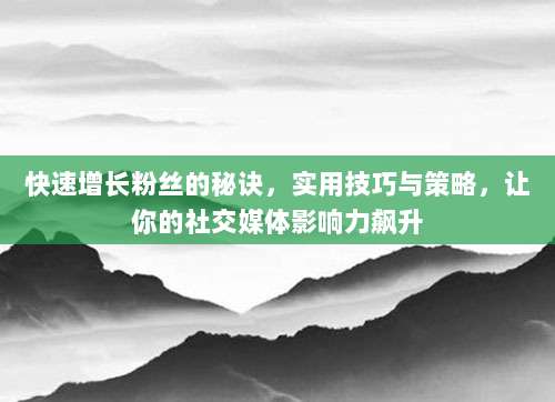 快速增长粉丝的秘诀,实用技巧与策略,让你的社交媒体影响力飙升