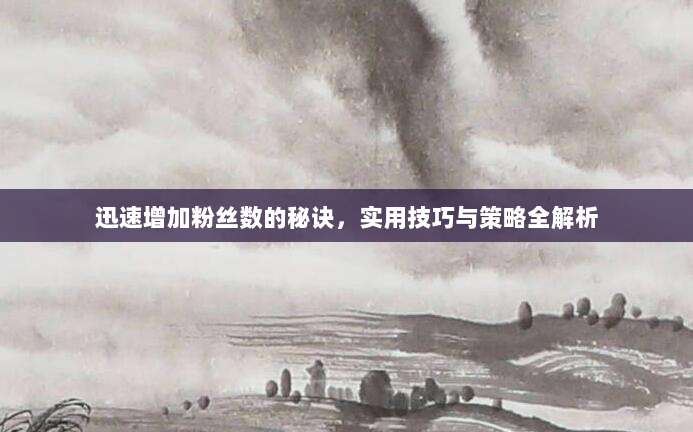 迅速增加粉丝数的秘诀,实用技巧与策略全解析