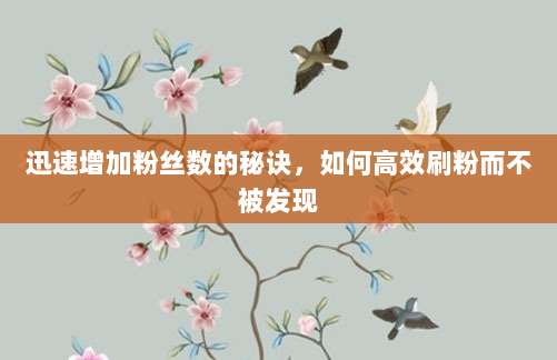 迅速增加粉丝数的秘诀,如何高效刷粉而不被发现