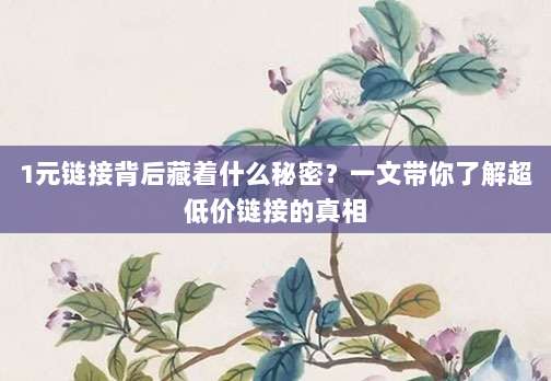 1元链接背后藏着什么秘密?一文带你了解超低价链接的真相