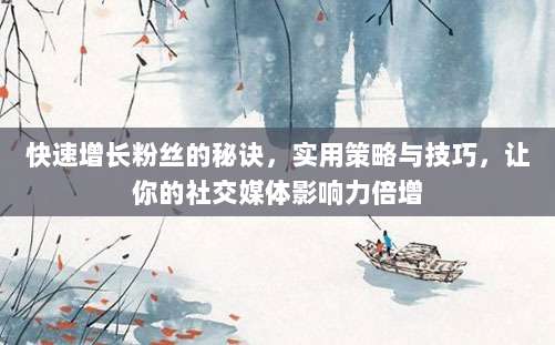 快速增长粉丝的秘诀,实用策略与技巧,让你的社交媒体影响力倍增