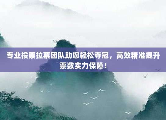 专业投票拉票团队助您轻松夺冠，高效精准提升票数实力保障！