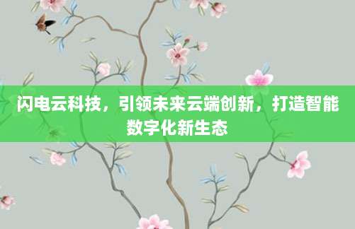 闪电云科技,引领未来云端创新,打造智能数字化新生态