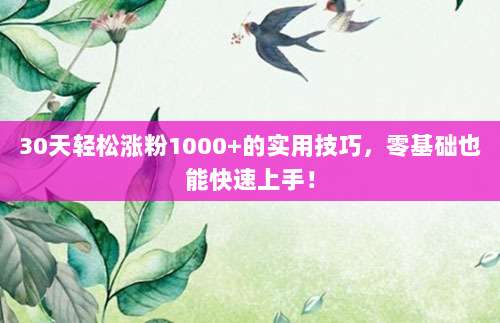 30天轻松涨粉1000+的实用技巧，零基础也能快速上手！