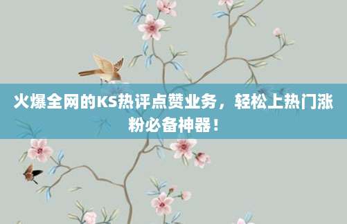 火爆全网的KS热评点赞业务,轻松上热门涨粉必备神器!