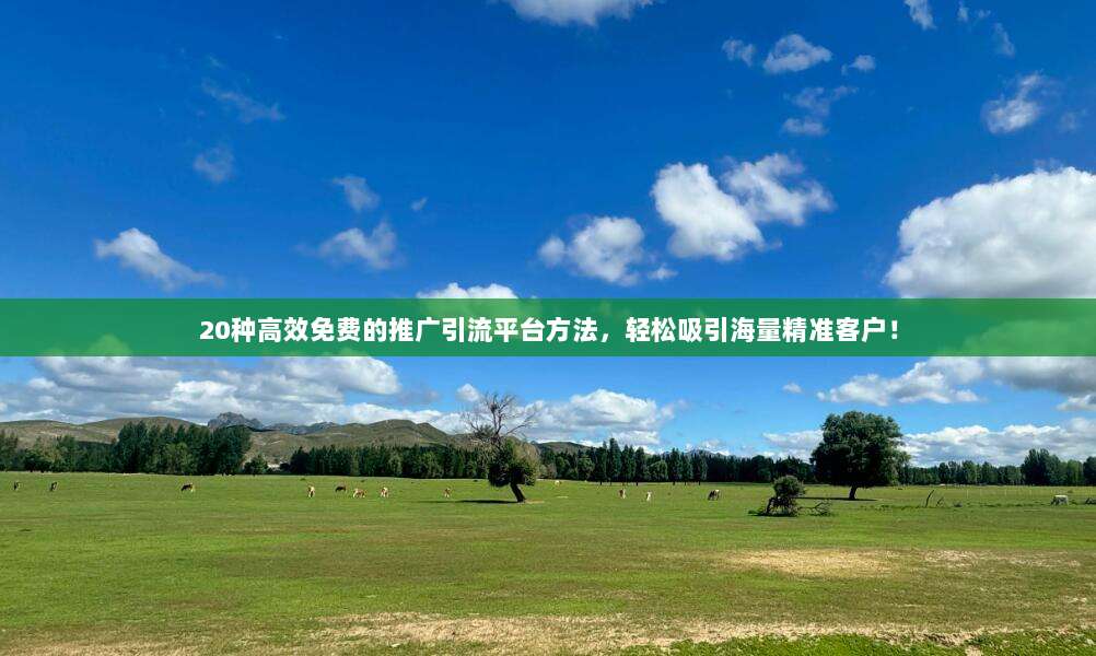 20种高效免费的推广引流平台方法,轻松吸引海量精准客户!