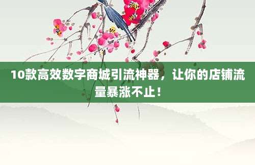 10款高效数字商城引流神器,让你的店铺流量暴涨不止!