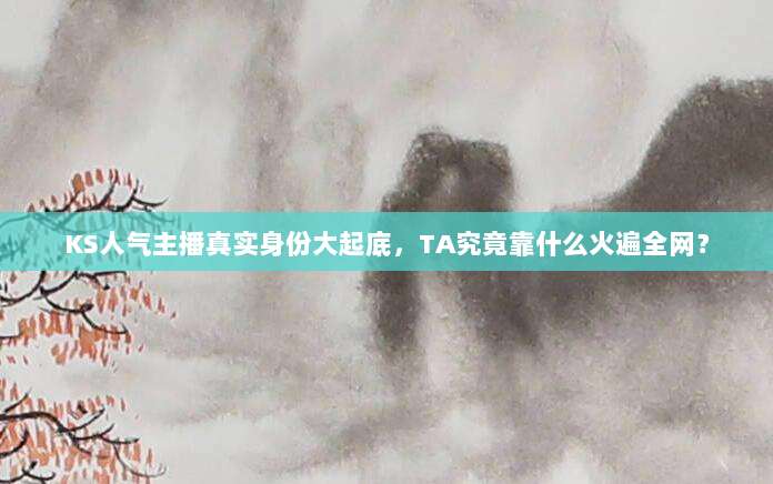 KS人气主播真实身份大起底，TA究竟靠什么火遍全网？