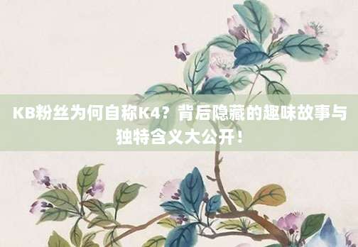 KB粉丝为何自称K4?背后隐藏的趣味故事与独特含义大公开!
