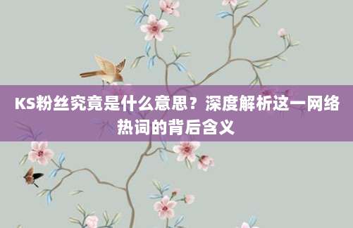 KS粉丝究竟是什么意思?深度解析这一网络热词的背后含义