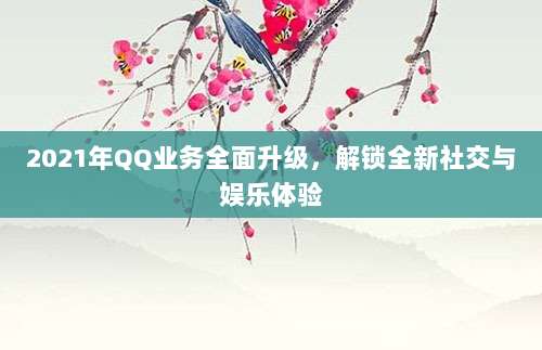 2021年QQ业务全面升级,解锁全新社交与娱乐体验